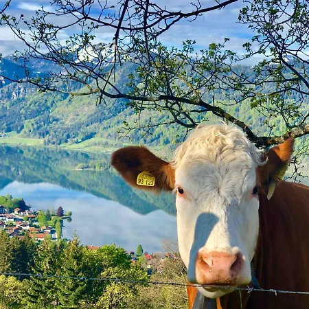 Bleibe Am Ledersberg شقة *